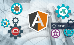 AngularJS Web Application Development