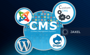 custom CMS development company