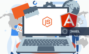 AngularJS Web-Development-services